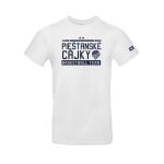 TRIČKO CLASSIC PIEŠTANSKÉ ČAJKY - Image 2