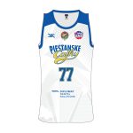 DRES PIEŠTANSKÉ ČAJKY 24/25 DOMÁCI